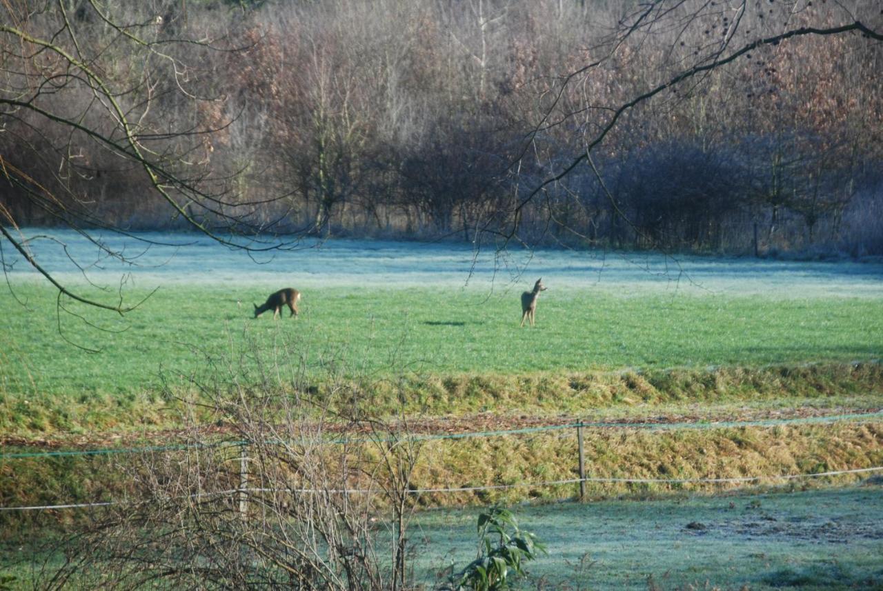 B&Btob Steengroeve Winterswijk Exteriér fotografie